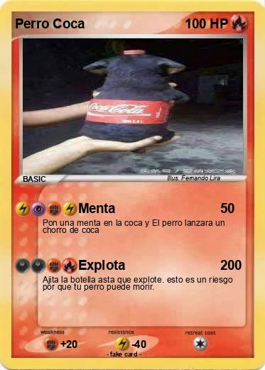 Pokemon Perro Coca