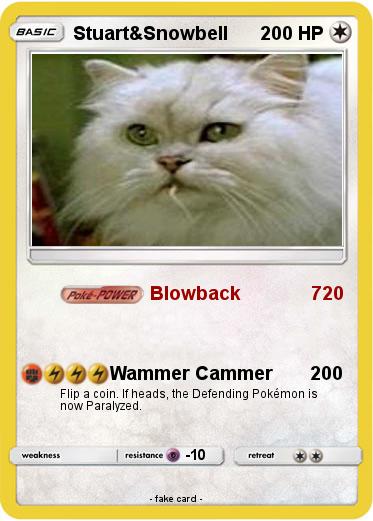Pokemon Stuart&Snowbell