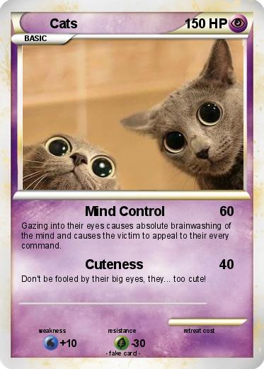 Pokemon Cats