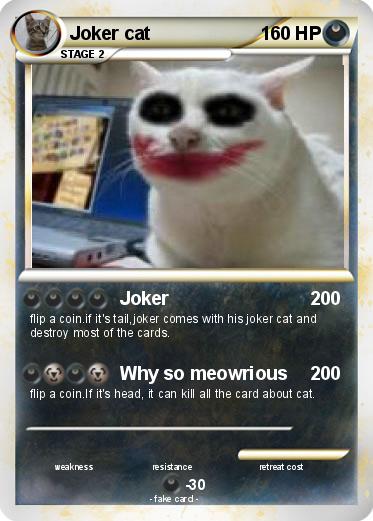 Pokemon Joker cat