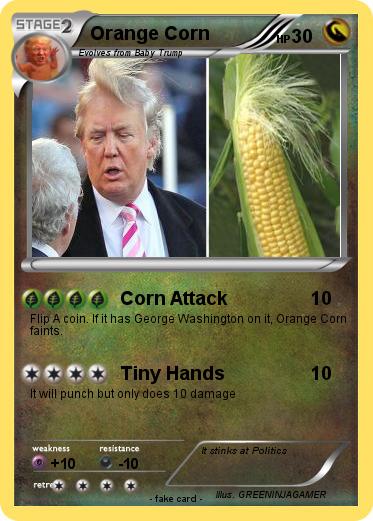 Pokemon Orange Corn