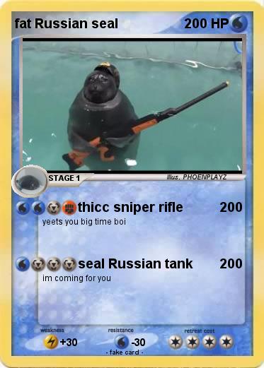 Pokemon fat Russian seal