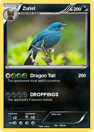 Pokemon Zuriel