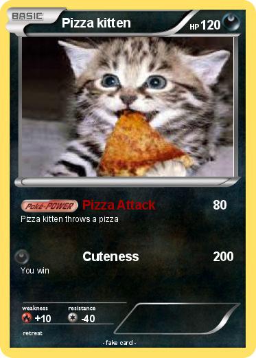Pokemon Pizza kitten