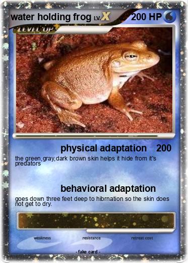 Pokemon water holding frog