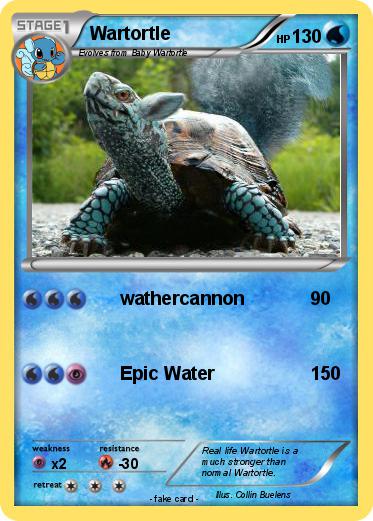 Pokemon Wartortle