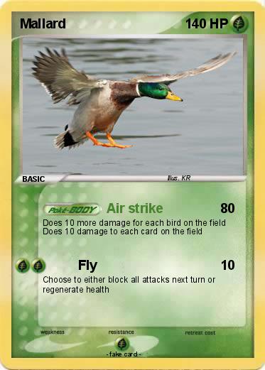 Pokemon Mallard