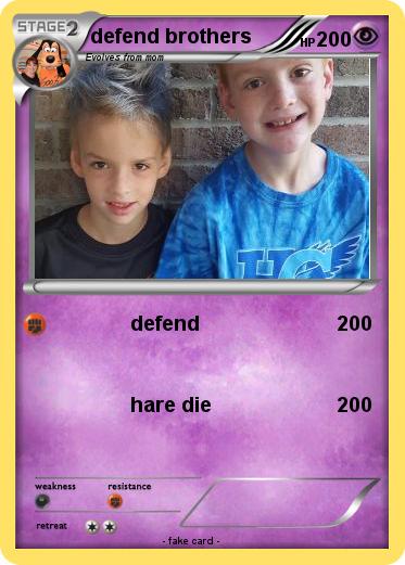 Pokemon defend brothers