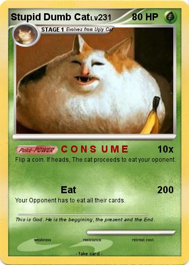 Pokemon Stupid Dumb Cat