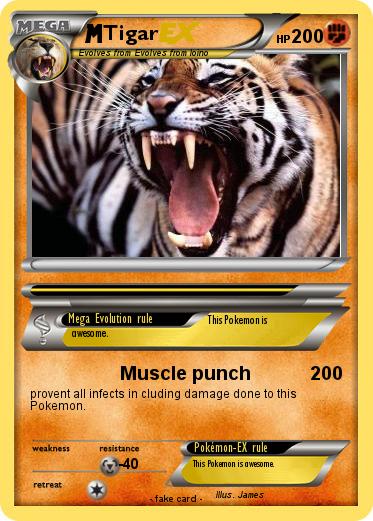 Pokemon Tigar