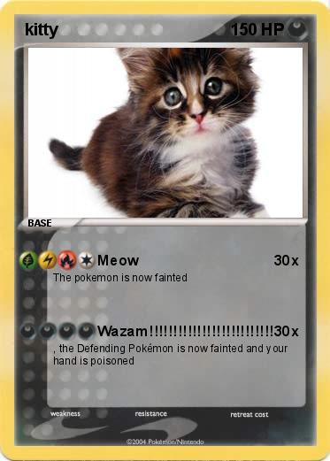 Pokemon kitty