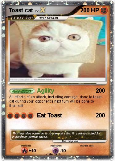 Pokemon Toast cat