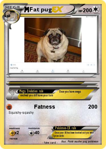Pokemon Fat pug