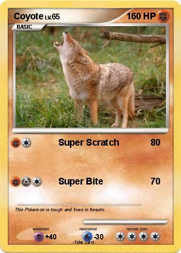 Pokemon Coyote