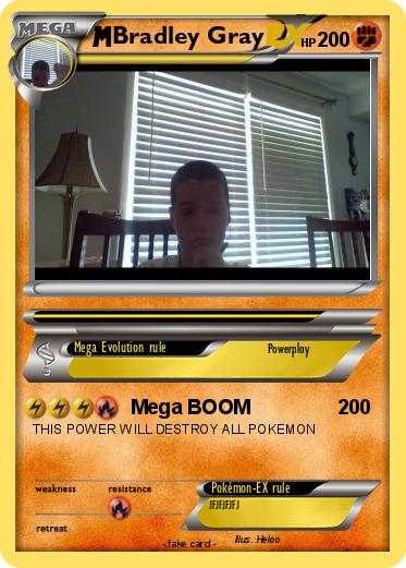 Pokemon Bradley Gray