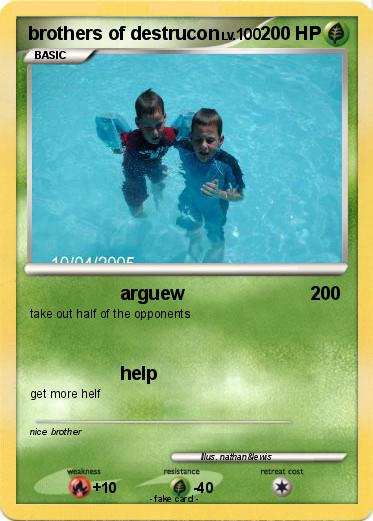 Pokemon brothers of destrucon