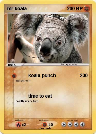 Pokemon mr koala