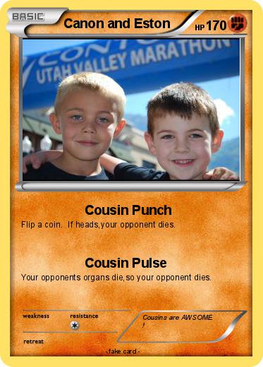 Pokemon Canon and Eston