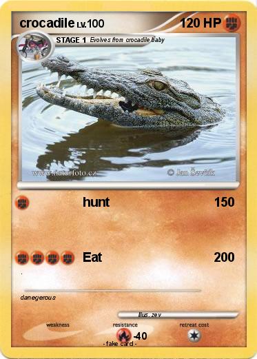 Pokemon crocadile