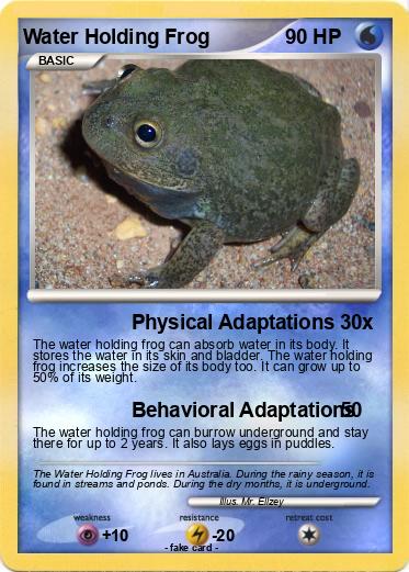 Pokemon Water Holding Frog