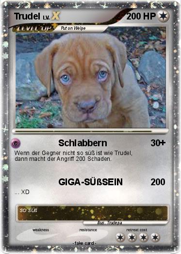 Pokemon Trudel