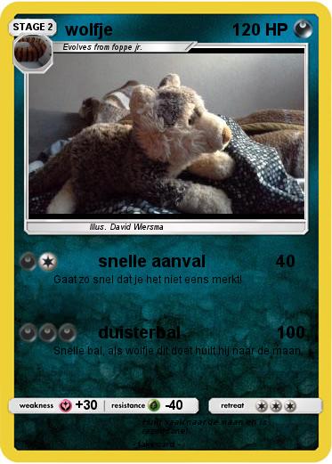 Pokemon wolfje