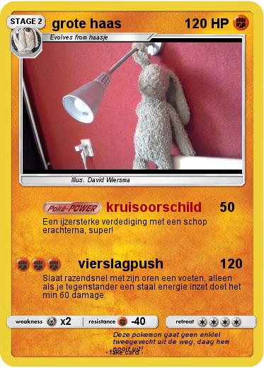 Pokemon grote haas