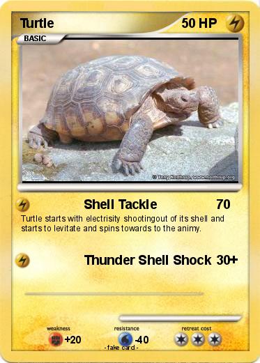 Pokemon Turtle