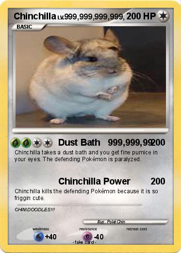Pokemon Chinchilla
