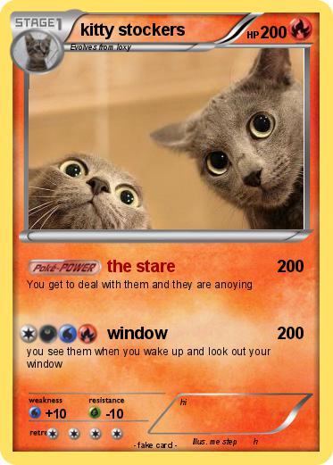 Pokemon kitty stockers