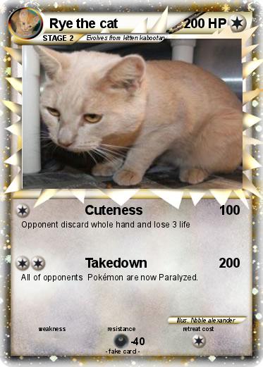 Pokemon Rye the cat