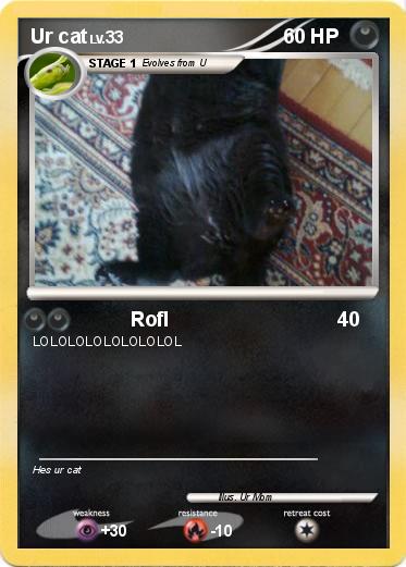 Pokemon Ur cat