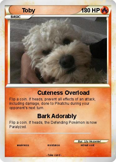 Pokemon Toby