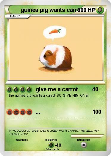 Pokemon guinea pig wants carrot
