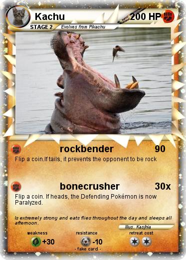 Pokemon Kachu