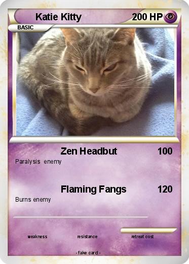 Pokemon Katie Kitty