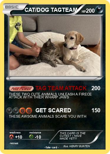 Pokemon CAT/DOG TAGTEAM