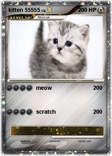 Pokemon kitten 55555