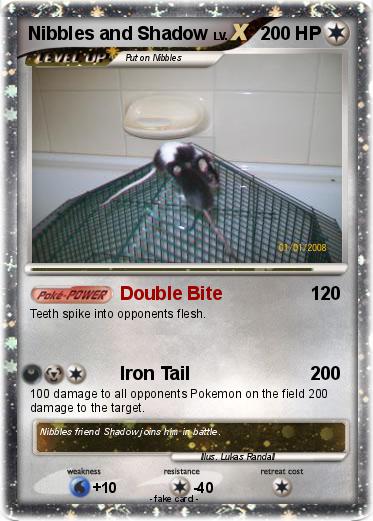 Pokemon Nibbles and Shadow