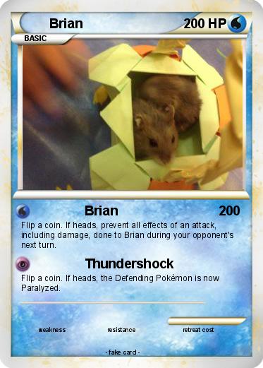 Pokemon Brian