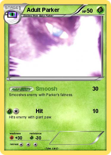 Pokemon Adult Parker