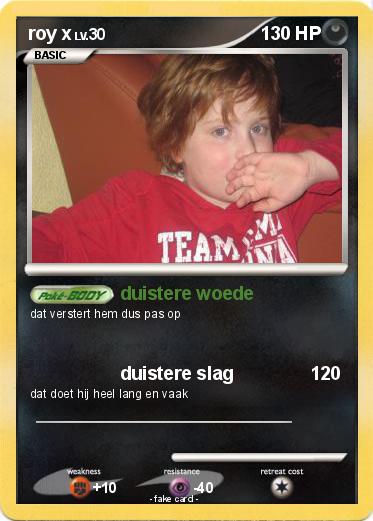 Pokemon roy x