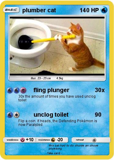 Pokemon plumber cat