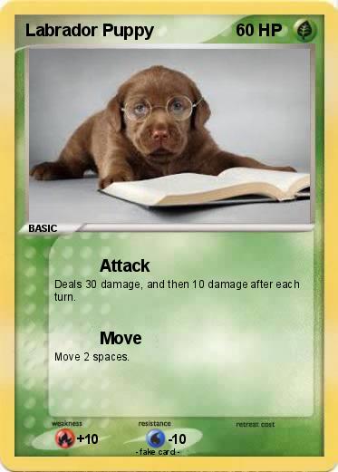 Pokemon Labrador Puppy