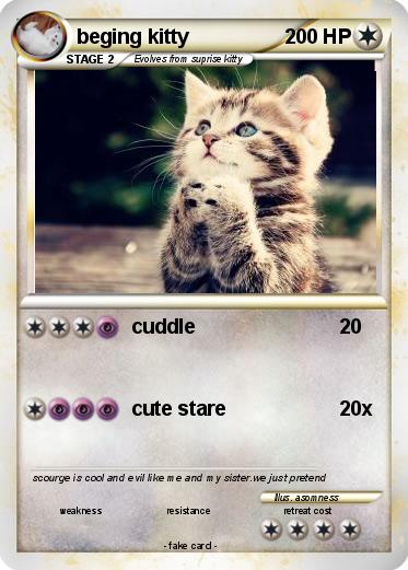 Pokemon beging kitty