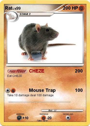 Pokemon Rat