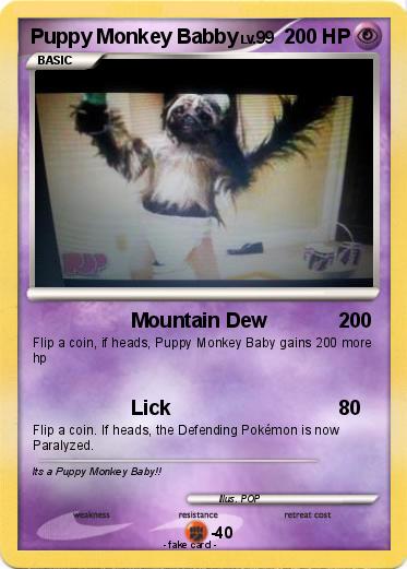 Pokemon Puppy Monkey Babby