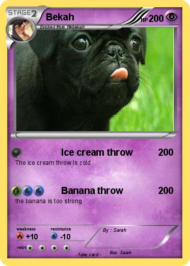 Pokemon Bekah