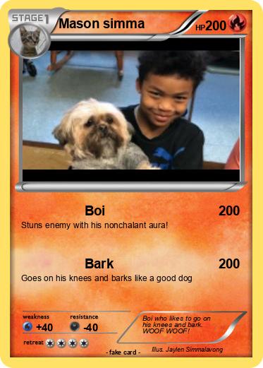 Pokemon Mason simma