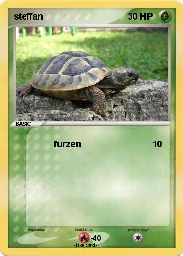 Pokemon steffan